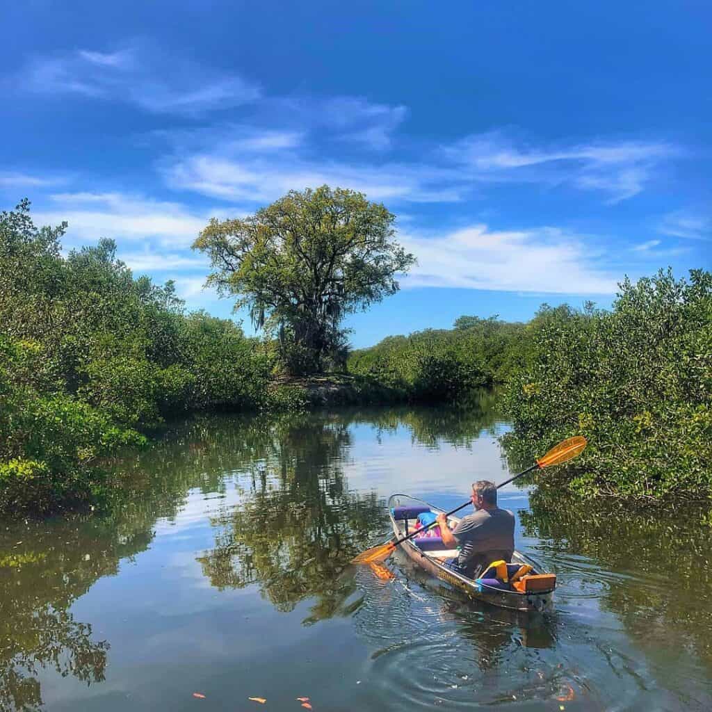 Kayaking in Tampa with See Through Adventures
